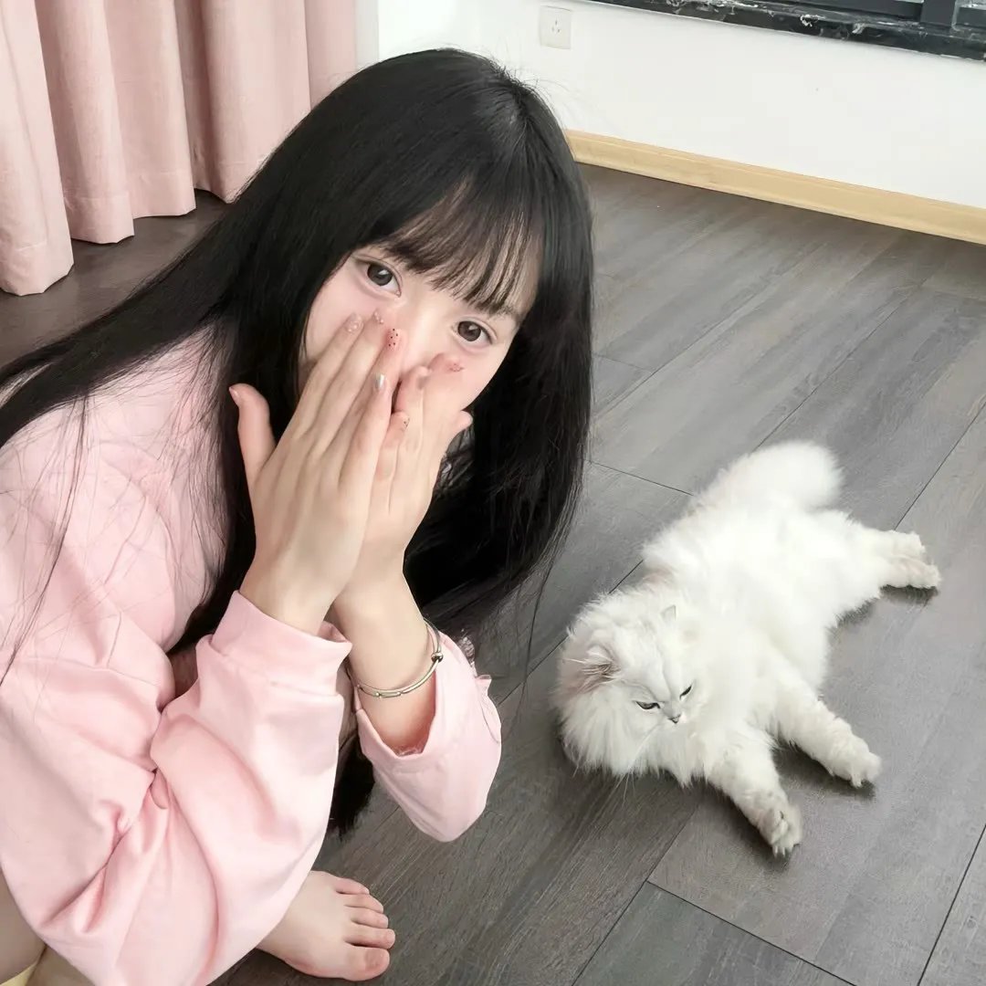 说得好，小猫咪！